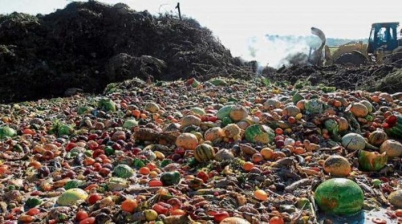 Irracionalitat capitalista: es malgasta el 31% dels aliments en el món