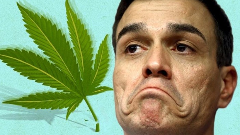 PSOE, PP i VOX i la confluència reaccionària per a continuar il·legalitzant el cànnabis