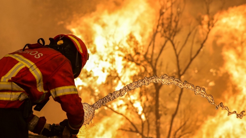 25 mil hectàrees cremades i més de 500 morts: és el canvi climàtic, però no només